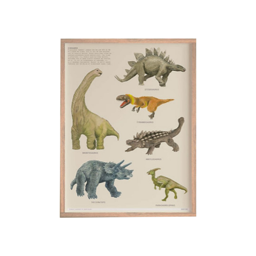 Plakat dinosaurer